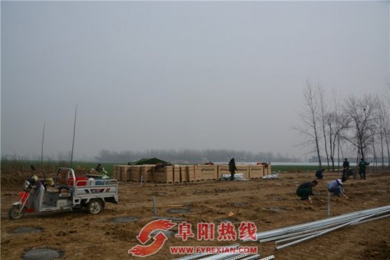 太和县坟台镇：项目开局势头猛