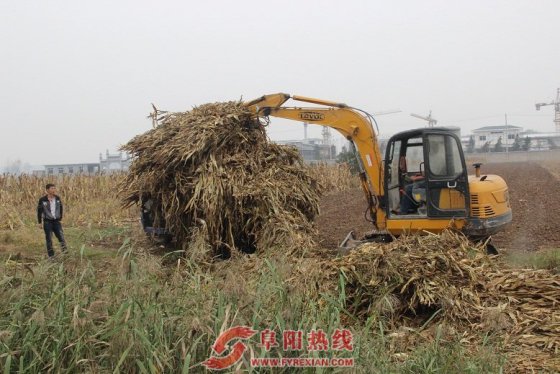 界首西城集中清理秸秆助推城乡环境整治