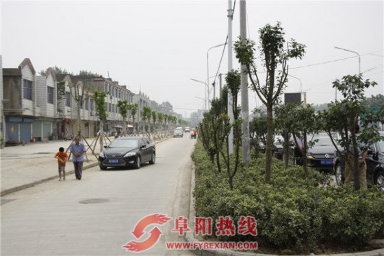 界首市省际两条道路变身景观路
