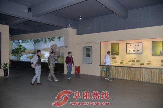 阜阳市颍东区文广新局到界首开展文化建设交流学习活动