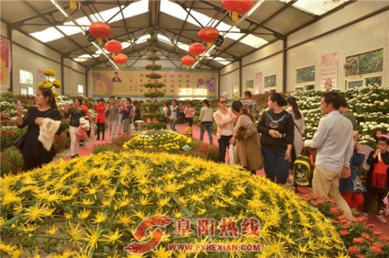 国庆游览阜阳生态乐园   欢乐乐翻天