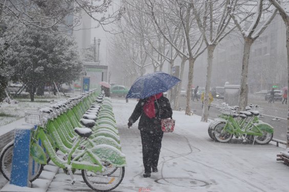 安徽部分地区降大到暴雪 28日阜阳大雪纷飞