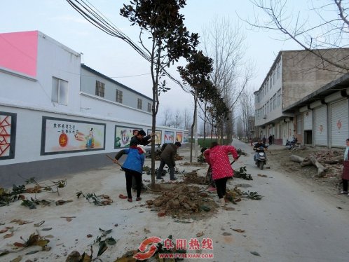 干部群众总动员，植树造林迎新春