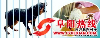 阜阳家养恶犬咬死7岁男童再敲警钟法律界人士呼吁将烈性犬致人伤