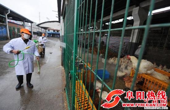 全国报告18例人感染H7N9禽流感确诊病例 6人死亡