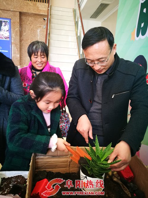 丽丰一品 多肉植物DIY “绿”动缤纷生活