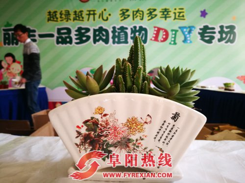 丽丰一品 多肉植物DIY “绿”动缤纷生活